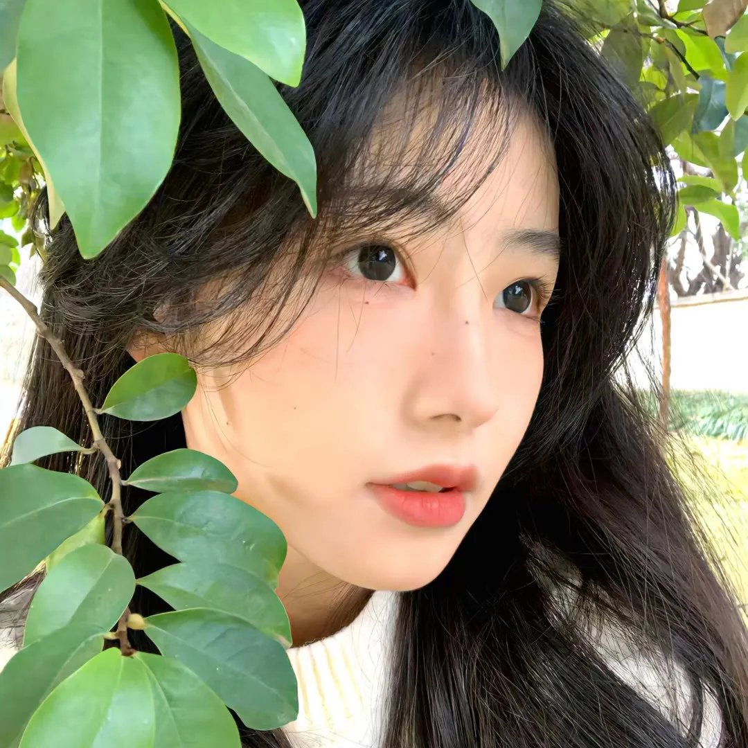 下一站彩虹国语